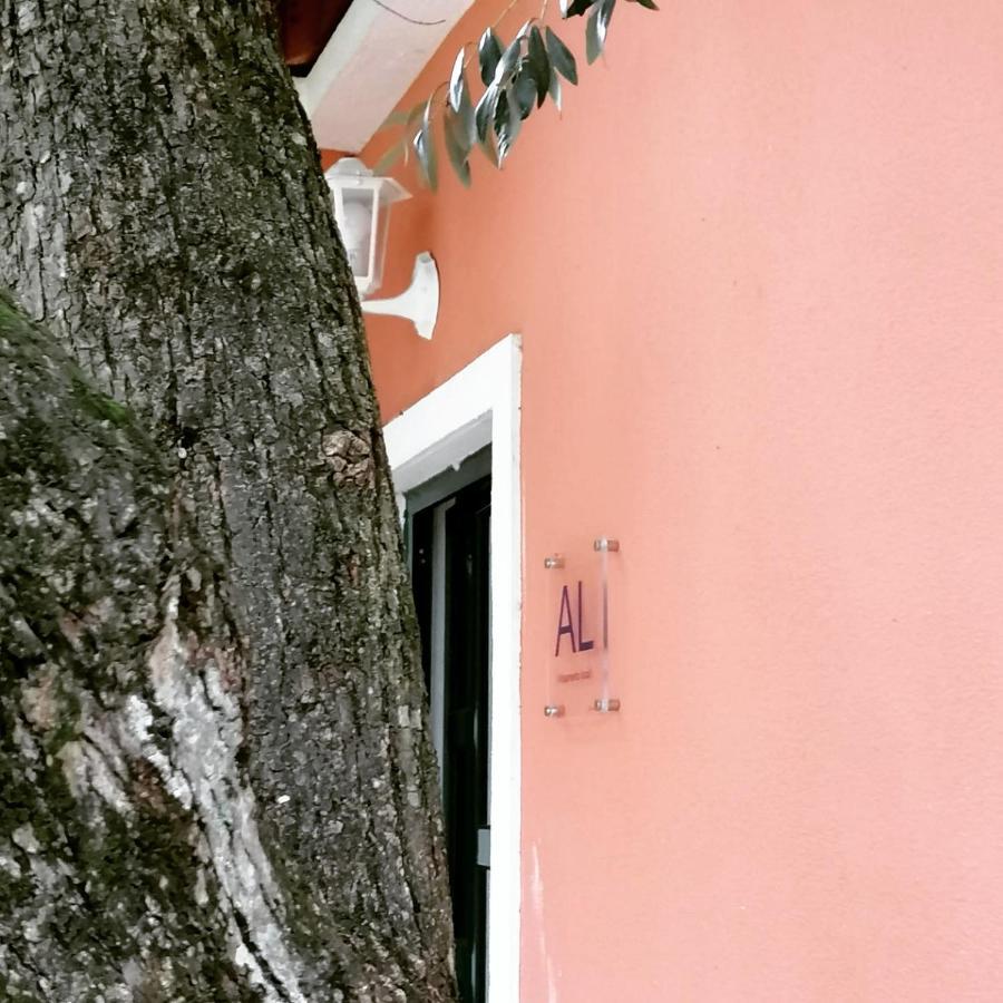 Casa Das Laranjeiras E Parque Infantil Azeitao Εξωτερικό φωτογραφία