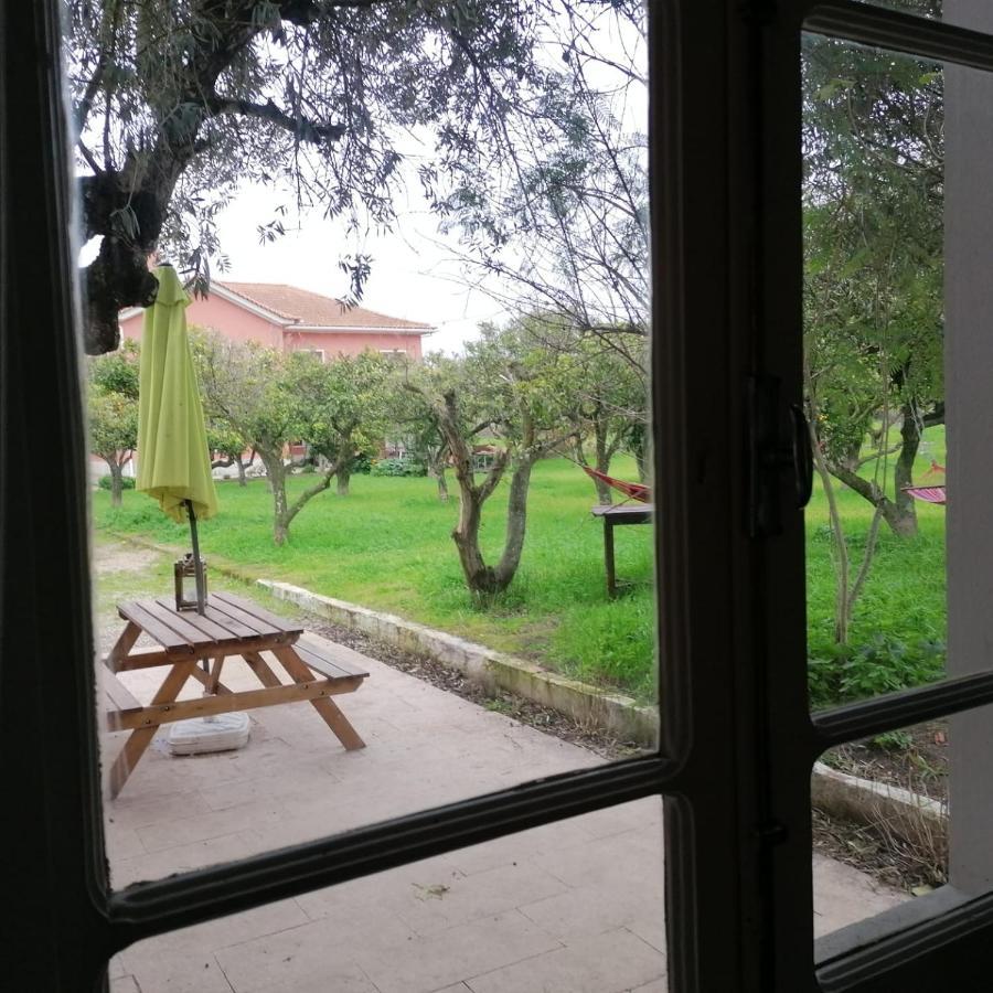 Casa Das Laranjeiras E Parque Infantil Azeitao Εξωτερικό φωτογραφία