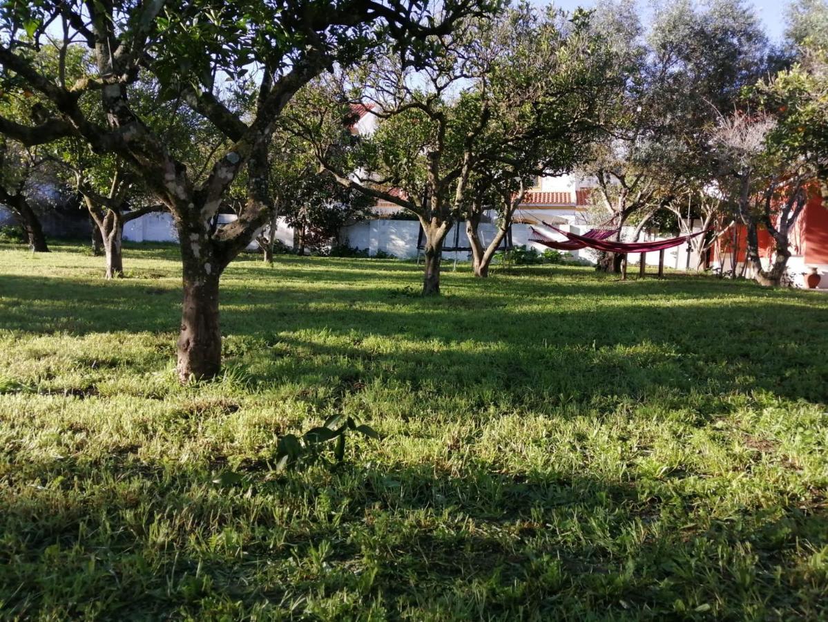 Casa Das Laranjeiras E Parque Infantil Azeitao Εξωτερικό φωτογραφία