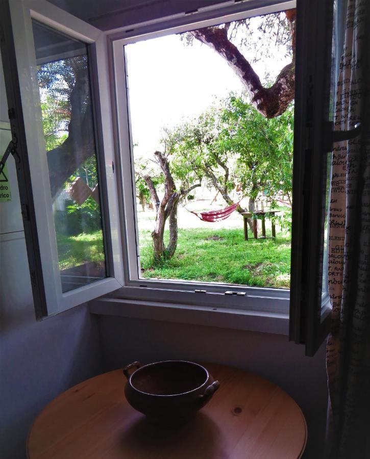 Casa Das Laranjeiras E Parque Infantil Azeitao Εξωτερικό φωτογραφία